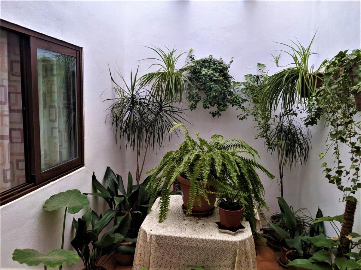 Hostal Moraima Capileira Luaran gambar