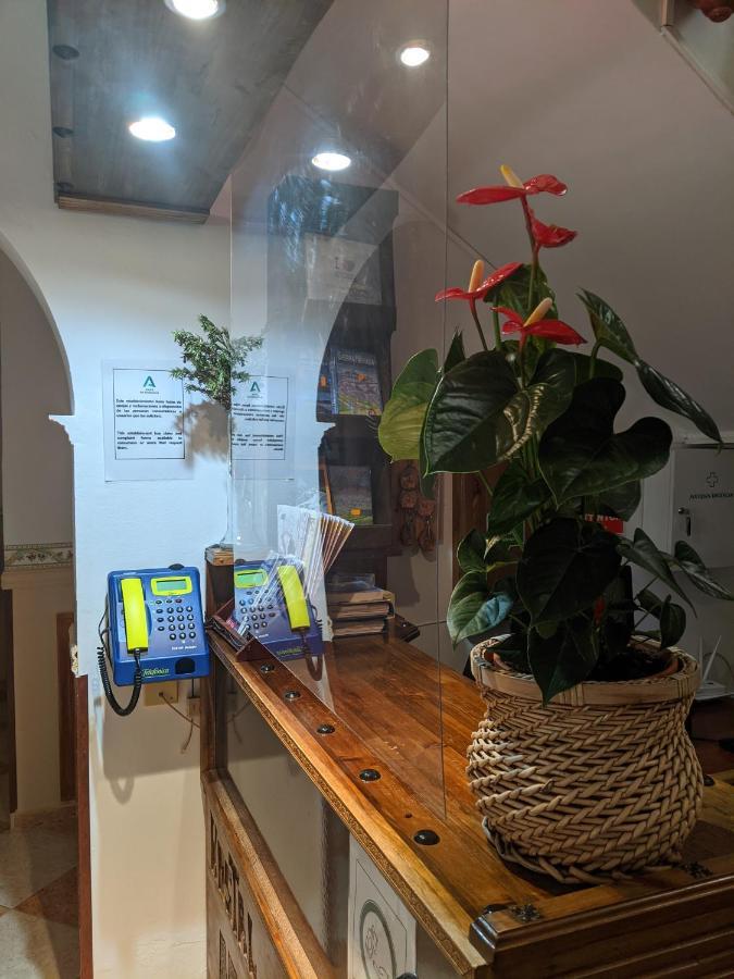Hostal Moraima Capileira Luaran gambar